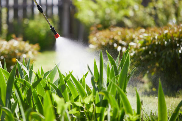 24/7 Emergency Ant Control experts in Carlinville, IL