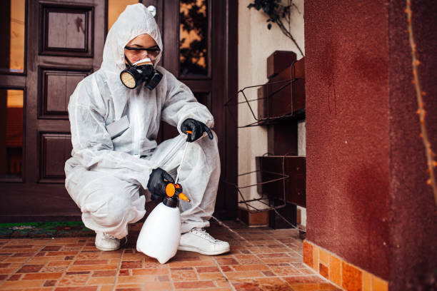 Reliable Ant Control contractor in Carlinville, IL by Show Me Pest Control